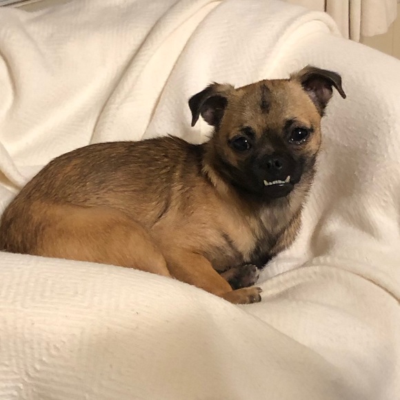 Meet your Posher - Picture 3 of 4